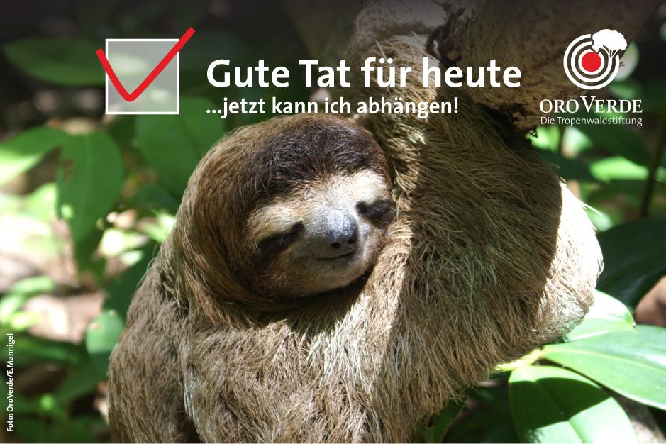 Faultier Oro Verde